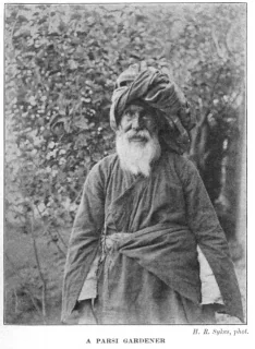 A PARSI GARDENER H. R. Sykes, phot