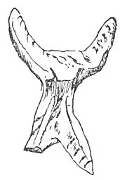 COW-HEADED IDOL, MYCENÆ (FROM SCHLIEMANN)