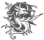 Decorative Page Footer