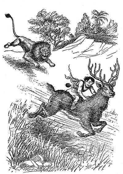 Behind him a fierce roar indicated that the lion was in pursuit. ( Page 176 )