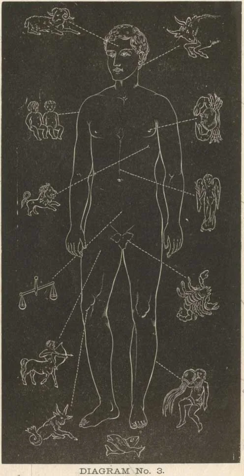 DIAGRAM No. 3.<br> THE SOLAR MAN