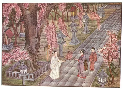 38. Hanano San Takes the Cherry Branch From the Youth