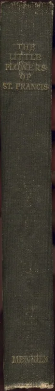 Spine