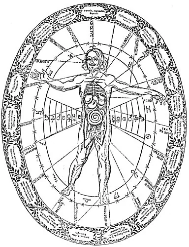 CHART SHOWING THE RELATIONSHIP BETWEEN THE HUMAN BODY AND THE EXTERIOR UNIVERSE