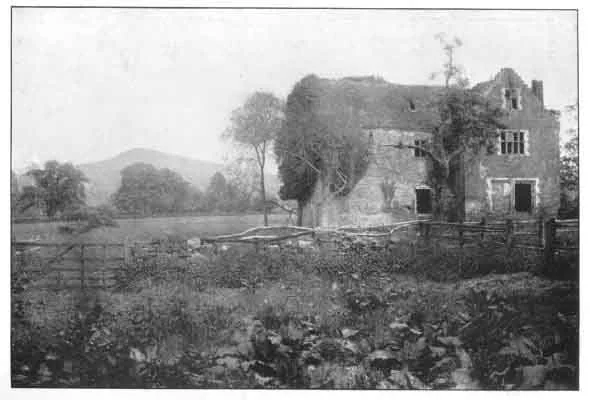 PLATE I. PRIMARY PEAK