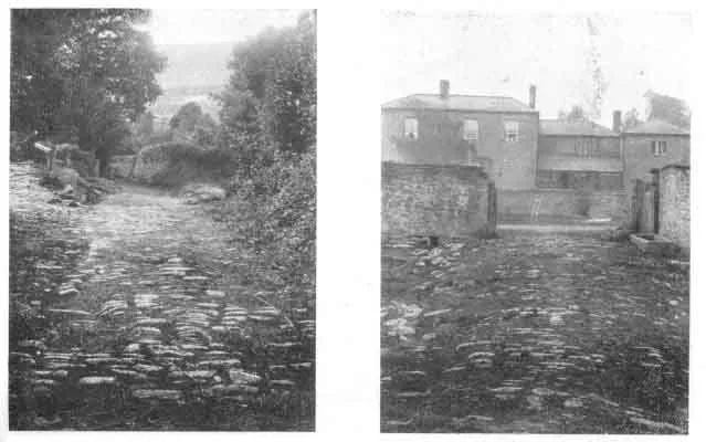 PLATE VII. CAUSEWAYS