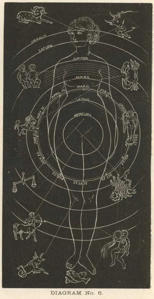 DIAGRAM No. 6.<br> THE SOLAR WOMAN