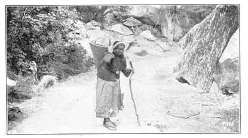A BURDEN BEARER. The women are the principal burden bearers, and all the others are carried in large baskets, supported by a band across the forehead