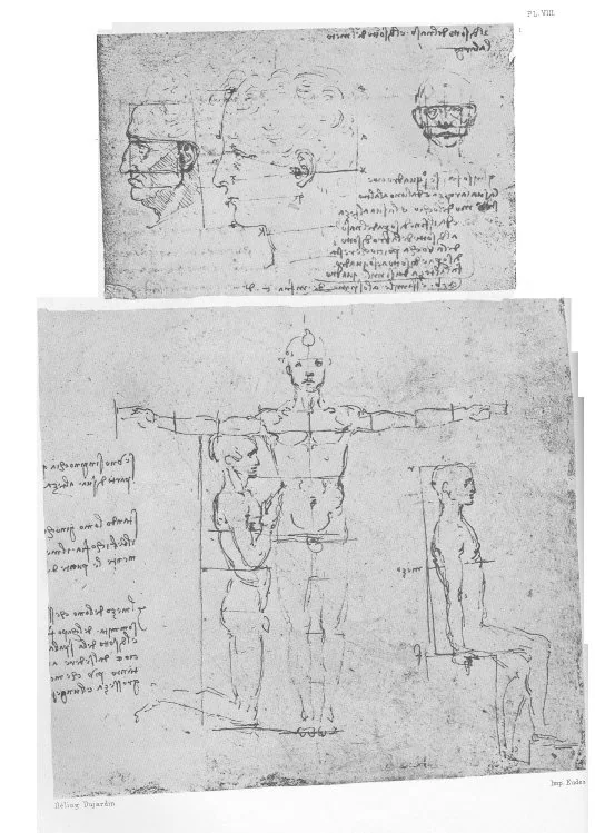 Plate VIII
