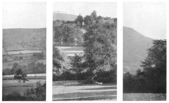 PLATE V. SIGHTING CUTTINGS