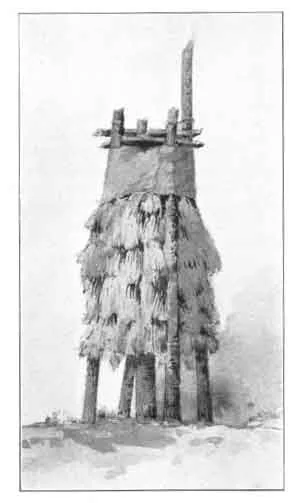 CHUCK'-AH. Storehouse for nuts and acorns, thatched with pine branches, points downward, to keep out mice and squirrels