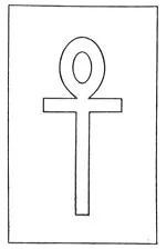 THE CRUX ANSATA