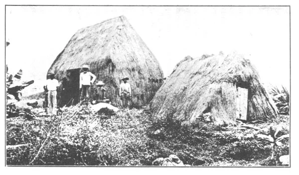 HAWAIIAN GRASS HOUSES By courtesy Paradise of the Pacific
