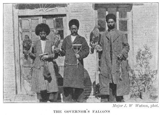 THE GOVERNOR'S FALCONS. Major J. W Watson, phot