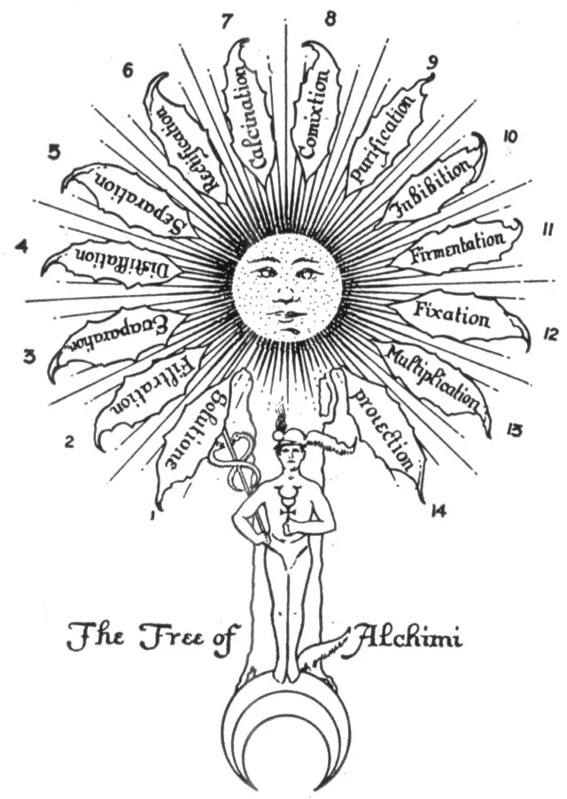 THE LEAVES OF HERMES' SACRED TREE