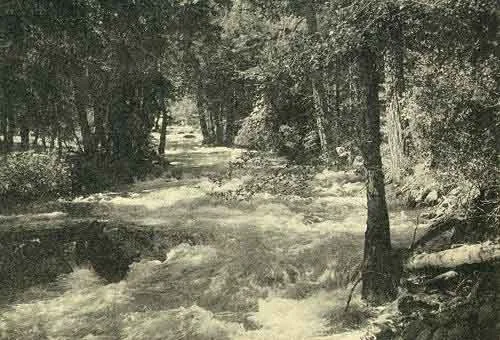 THE MERCED RIVER AT HAPPY ISLES. Photo A. C. Pillsbury