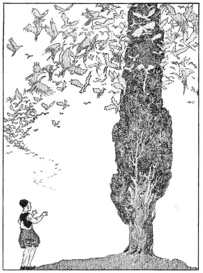 He waited until all the birds in the world had alighted